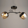 Люстра N3803/2 FGD+BK черный+золото 2x60Вт E27 d480 h230 QH20