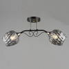 Люстра N4850/2 COF+FGD кофе+золото 2х40Вт E27 d550 h250 QH22