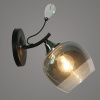 Бра C1037/1W BK+CR черный+хром 1х60Вт E27 d220 h240