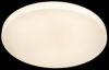 Свет-к св/д AU61893/500 120Вт 2800K-7000K DIMMER ПДУ