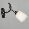 Бра N5276/1W COFFEE+FGD кофе+золото 1х60Вт E27 h190 QH22