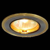 Светильник галоген ELP102 GD-N-GD G5.3 max50W (2 шт)