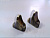 Полкодержатель 1186 бронза TRODOS (цена за 1шт в уп 2шт)
